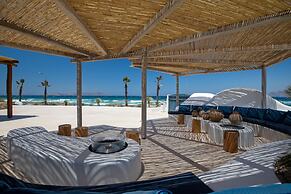 Blue Pearls - Adults Only