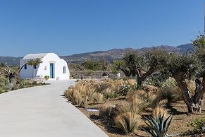 Blue Pearls - Adults Only