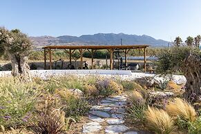 Blue Pearls - Adults Only