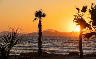 Blue Pearls - Adults Only