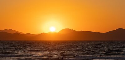 Blue Pearls - Adults Only