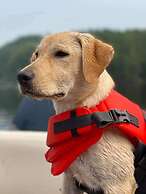 Mattawa River Resort