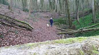 Stylish Town Centre Apartments