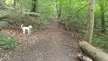 Stylish Town Centre Apartments