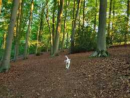 Stylish Town Centre Apartments