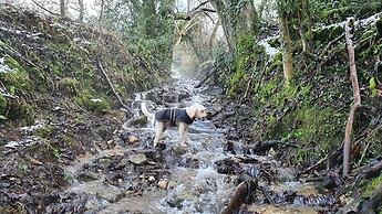Stylish Town Centre Apartments