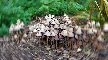 Stylish Town Centre Apartments