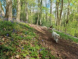 Stylish Town Centre Apartments