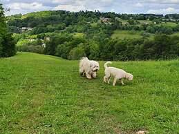 Stylish Town Centre Apartments