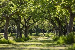 Dragon Orchard Retreat