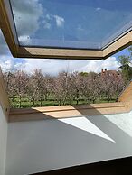 Dragon Orchard Retreat