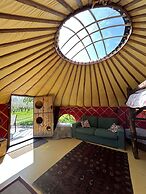 Dragon Orchard Retreat