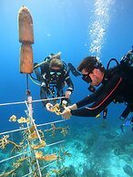 Bloozz resort Bonaire