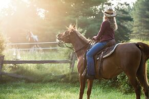 Berkshires Untold