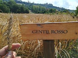 Fattoria Santa Vittoria Apartment Gazza