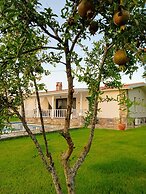 Villa in a Pomagranate Orchard