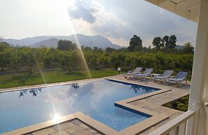 Villa in a Pomagranate Orchard