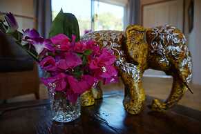 Comfortable Island Suites With Beautiful View and Balconies With Kitch