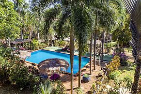 Comfortable Island Suites With Beautiful View and Balconies With Kitch