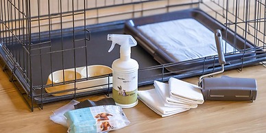 SPRINGS VILLAGE TANZAWA SPA RESORT