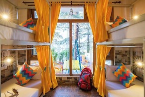 goSTOPS Kasol