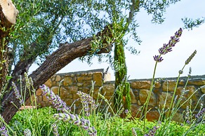 Akrolithos luxury suites