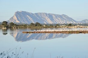 Domus Pedra trilocali  con A.C