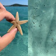 Chambres D'hôtes Terra Bella