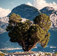 Chambres D'hôtes Terra Bella