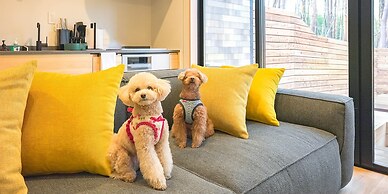 Rakuten STAY VILLA FujiKawaguchiko Forest