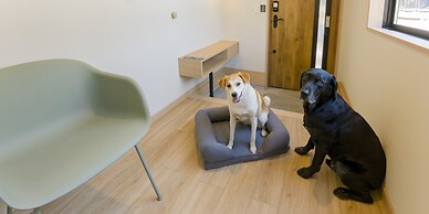 Rakuten STAY VILLA FujiKawaguchiko Forest