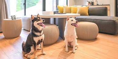 Rakuten STAY VILLA FujiKawaguchiko Forest