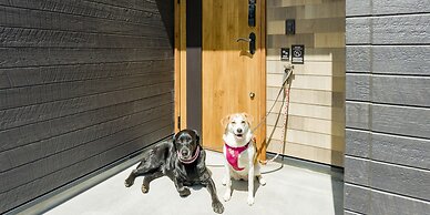 Rakuten STAY VILLA FujiKawaguchiko Forest