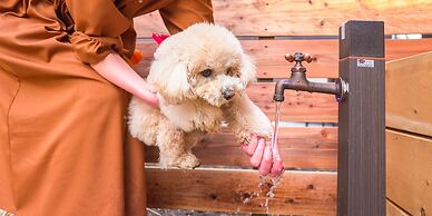 Rakuten STAY VILLA FujiKawaguchiko Forest