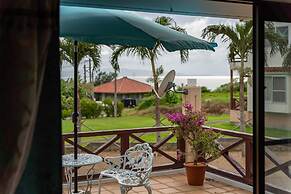 palmvilla ishigakijima karei