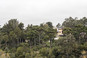 Sintra Marmoris Camelia