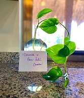 Cabaña Sofia Bacalar