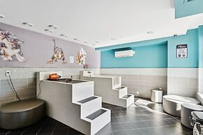 Kasa Dilworth Charlotte