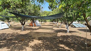 ORANGE BEACH CAMP KARAVAN CLUB