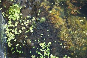 Hillcroft Luxury Bed & Breakfast