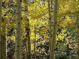 The Perfect Getaway For A Small Family, Summer Or Winter. Take A Break