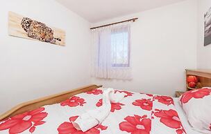 Beautiful Home in Rakovica With 1 Bedrooms, Jacuzzi and Wifi