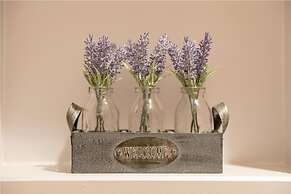 The Vanguard - York Residence