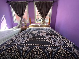 Casa Jardín Reforma