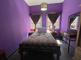 Casa Jardín Reforma