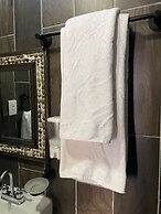 Casa Jardín Reforma