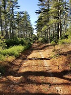 The Onset Beach Compound-Cape Cod Beach Resort & Oceanic Habitat