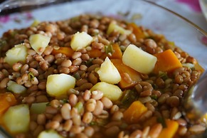 POUSADA DA DRI LODGE