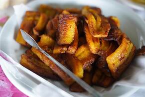 POUSADA DA DRI LODGE