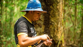 POUSADA DA DRI LODGE